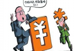 邵阳为什么选择专业追讨公司来处理您的债务纠纷？